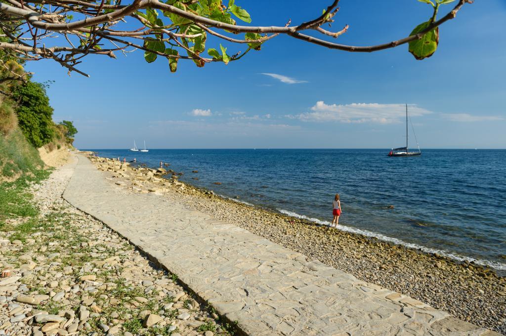Sea View Guesthouse Opara Piran Kültér fotó