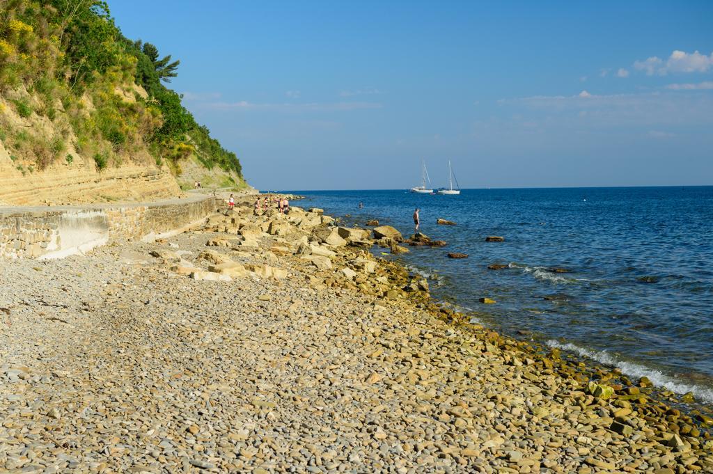 Sea View Guesthouse Opara Piran Kültér fotó
